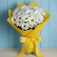 Букет цветов из:  Хризантемы в Чистые Боры