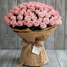 Букет 151 Роза Роуз #REPLACE_PRED# Чистые Боры