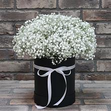 Цветочная композиция из Гипсофила в шляпной коробке #REPLACE_PRED# Чистые Боры